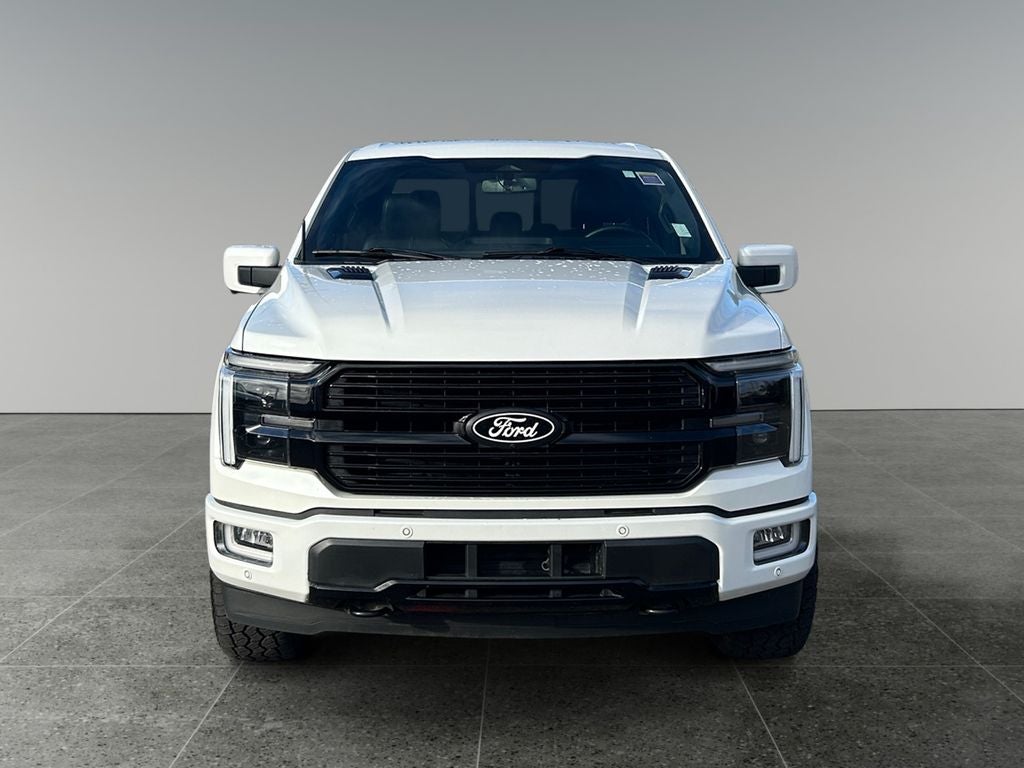 2024 Ford F-150 — side profile view